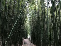 -井空里大峡谷