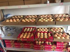 -南汇新场正宗水蜜桃采摘