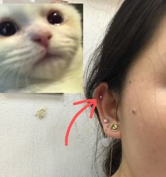 -花师傅专业手穿耳洞打耳洞穿孔