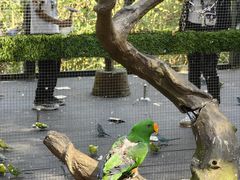 -野象谷景区