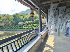-兰亭风景区