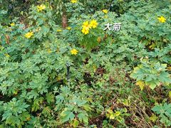 -广东天露山旅游度假区