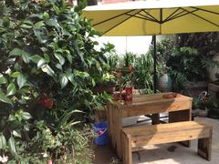 3851-鼓浪屿牌馅饼(博物馆店)