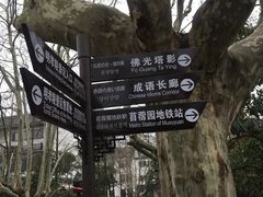 -南京十朝历史文化园-停车场