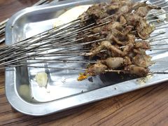 -清真·马峰烤肉(小学习北巷店)