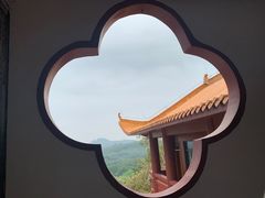 -深圳仙湖植物园