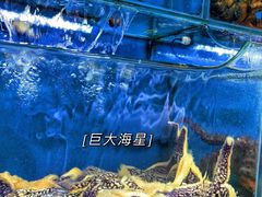 -桔子海鲜烧烤大排档(台东店)