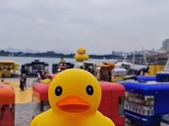 -深圳人才公园
