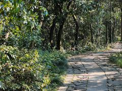 -杭州半山国家森林公园