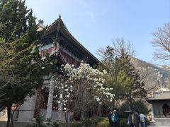 -青岛崂山太清宫
