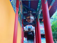 -都江堰普照寺