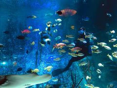 -沈阳海洋探索中心