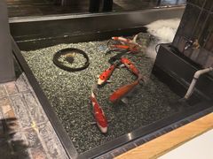 -0776食堂·京城创意菜(七里庄店)