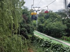 -富斯特索道