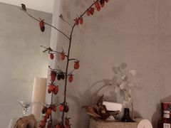 店内布置-陶享时光西餐·下午茶(信河街店)