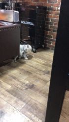 -青木造型HAIR·あおき髪を刈る潮人店
