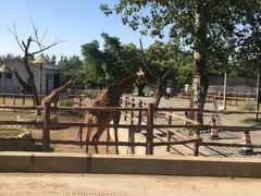 -西安秦岭野生动物园