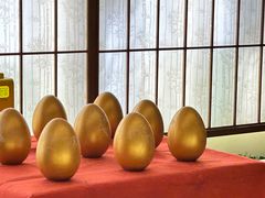 -汤泉良子(金源店)