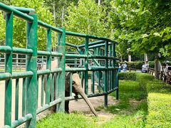 -秦皇岛野生动物园