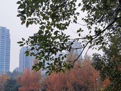 -重庆中央公园(渝北区)