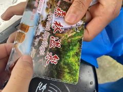 -姑婆山旅游区