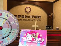 -宠爱国际动物医院· 猫科· 外科·中兽医(长白店)