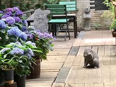 -The Flowers Coffee(南山店)