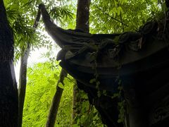 -凤栖山