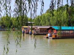 -泗洪洪泽湖湿地景区