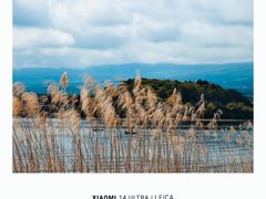 -河口湖八音盒之森美术馆