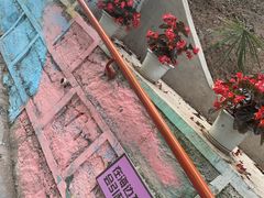 -仙海旅游度假区