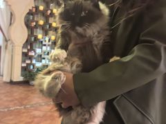 -域SPA·足疗·按摩·养生(静安寺店)