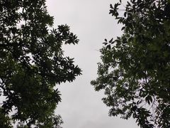 -天津盘山风景名胜区