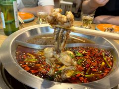 -铭记蛙小仙·活蛙畅享(CBD万达广场店)