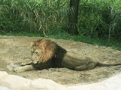 -北京野生动物园