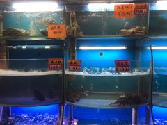 水产区-蔚海之都·象山蒸汽海鲜(仙霞路店)