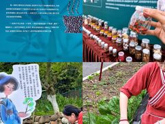 -广西壮族自治区药用植物园