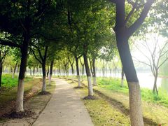 727e6662jw1e3i7n96kkyj_副本-昆山城市生态森林公园