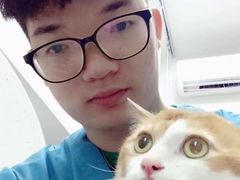-瑞鹏宠物医院·微创内窥镜·骨外科·牙科(翠竹分院)