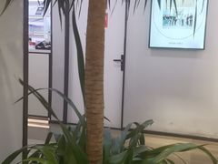 -牙博士口腔品牌连锁(杨浦店)