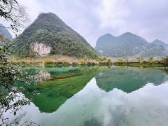 -靖西鹅泉风景区