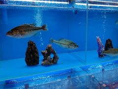 -怡咖啡·自助餐·西安香格里拉