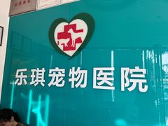 -乐琪宠物医院·犬猫专科·骨外科·急重症
