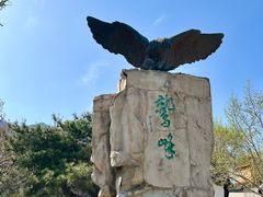 -北京鹫峰国家森林公园