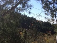 -北京十三陵国家森林公园蟒山景区