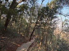 -九曜山
