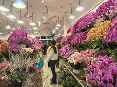 -双季花艺园艺市场(浦东店)