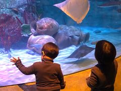 -沈阳海洋探索中心