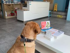 -甄爱宠物医院(疏影路店)