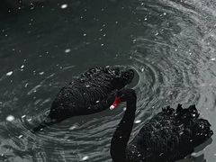 -径山花海
